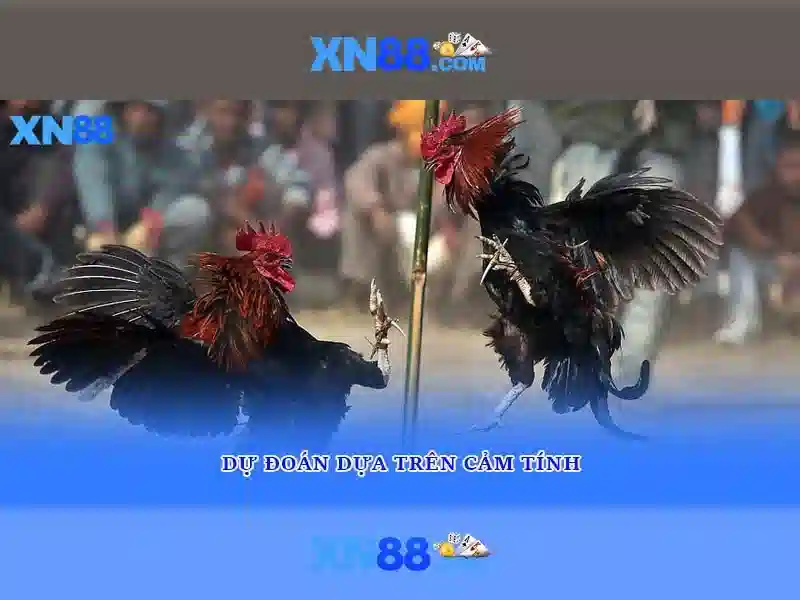 xn88: Nền tảng trò chơi trực tuyến và hành trình của người chơi