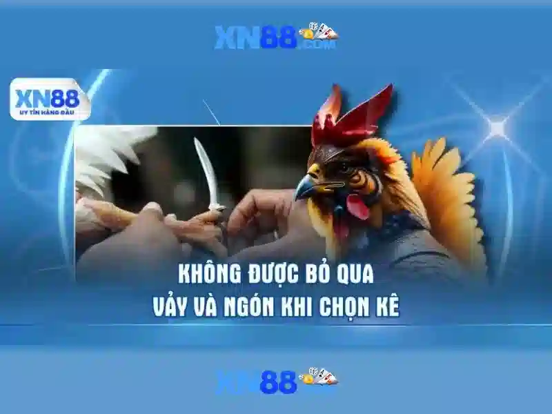 xn88 - Nền tảng trò chơi trực tuyến hàng đầu
