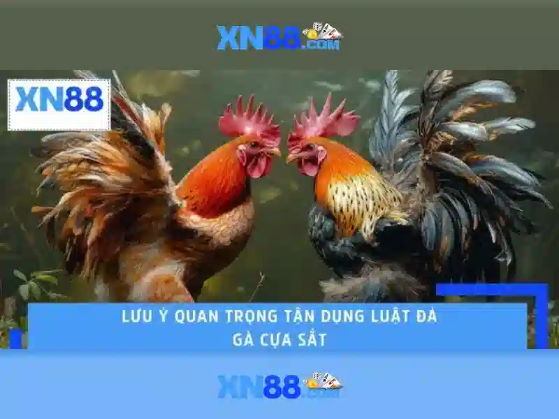 Giới thiệu về xn88