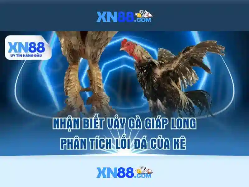 Giới thiệu về xn88