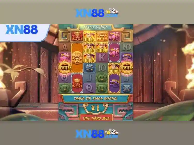 Tổng quan về xn88