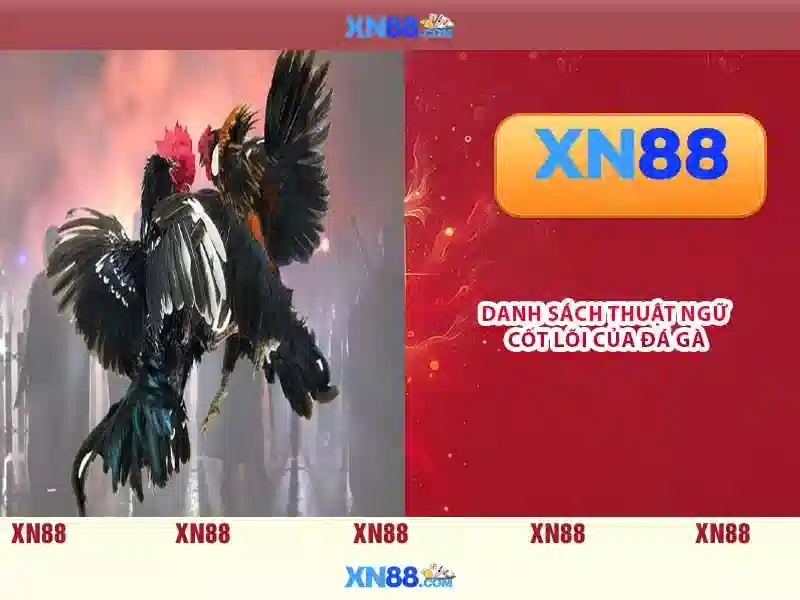 Lịch sử và nguồn gốc