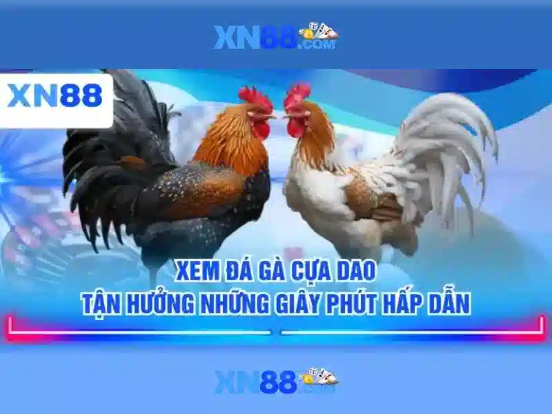 Giới thiệu về xn88