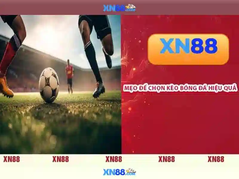 Xn88: Nền tảng cá cược trực tuyến và giải trí hàng đầu