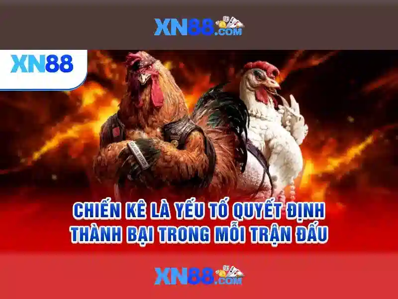 xn88 voq33.za.com – Tổng quan và Giá trị cốt lõi