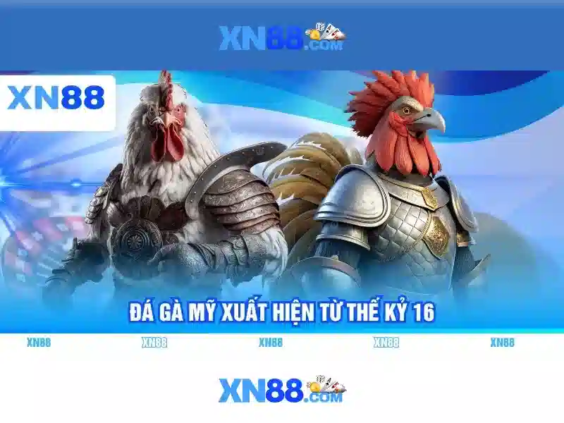 Các dịch vụ chính của xn88