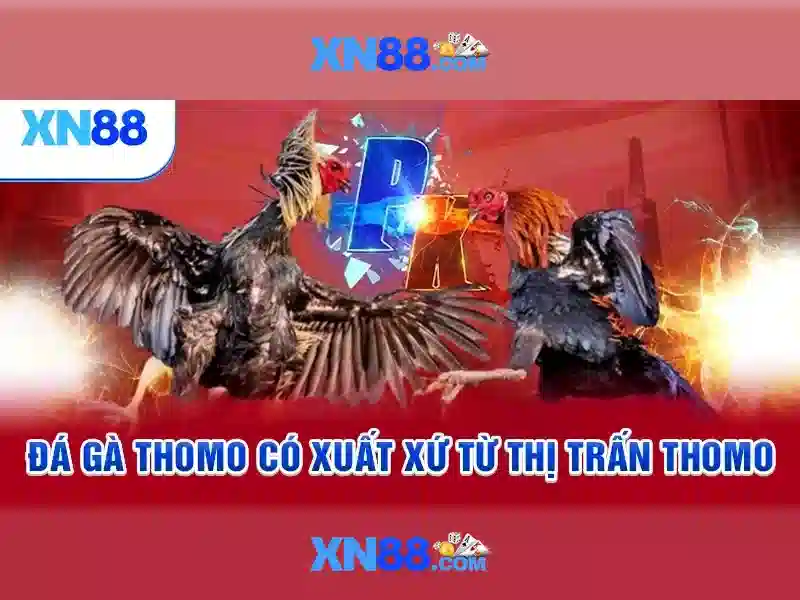Các tính năng nổi bật của xn88