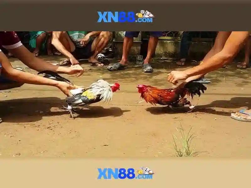 Khám phá xn88 - Nền tảng giải trí trực tuyến