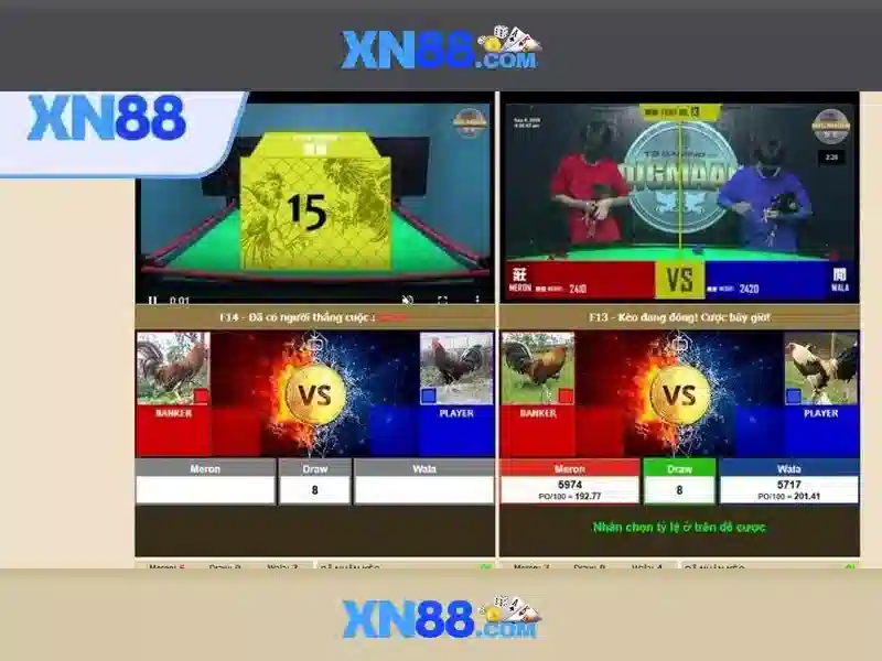 Giới thiệu về xn88
