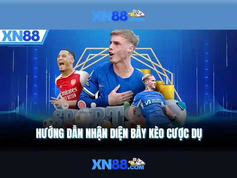 Kết luận về xn88