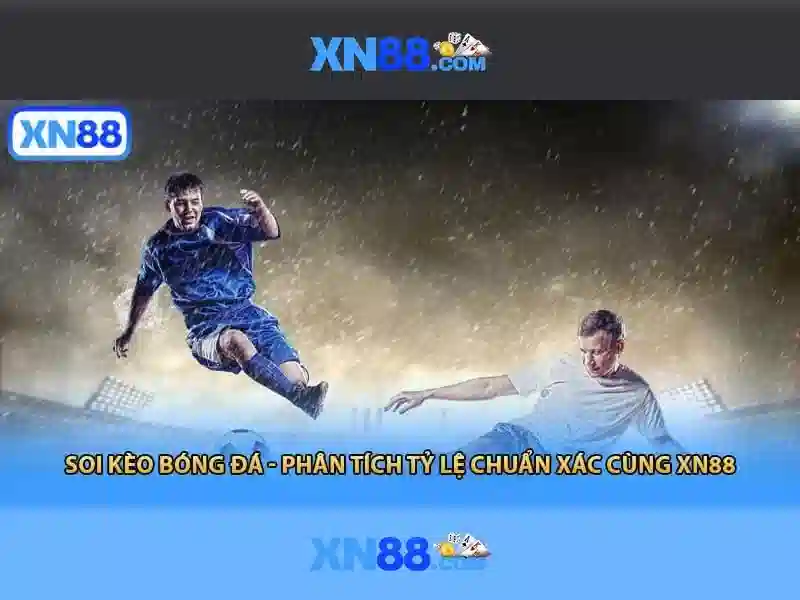Giới thiệu về xn88