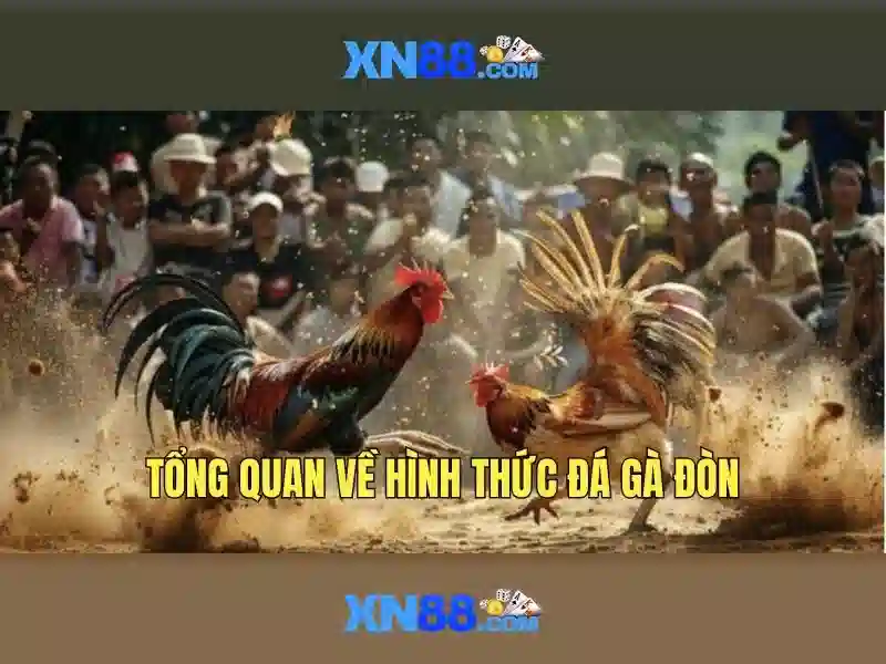xn88: Nền tảng giải trí trực tuyến