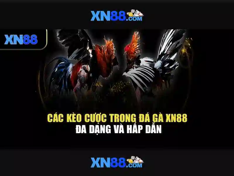 xn88: Nền tảng giải trí trực tuyến và trò chơi