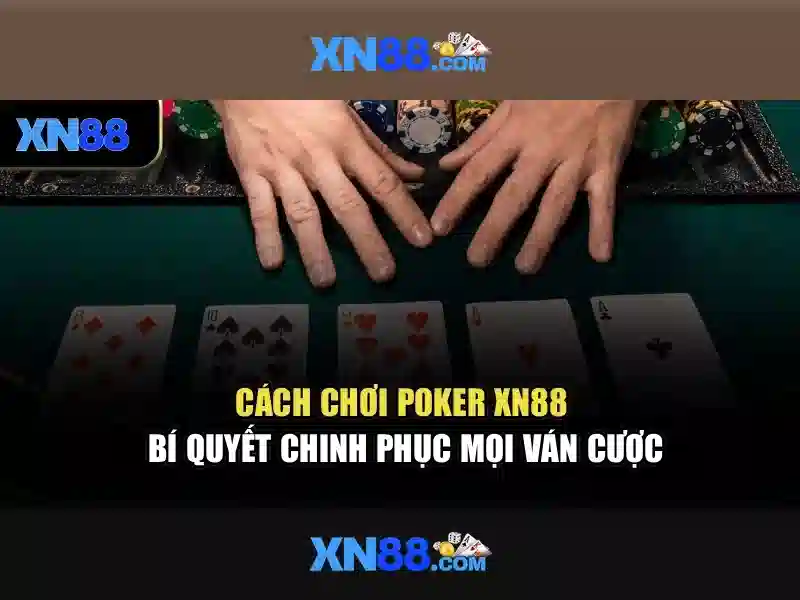 Lịch sử và nguồn gốc của xn88