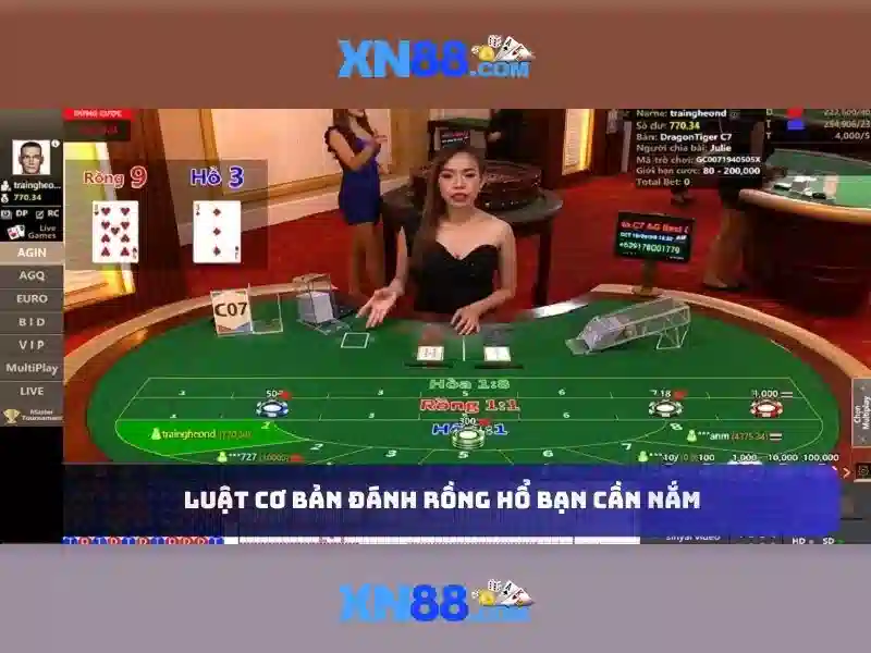 Lịch sử và nguồn gốc của xn88