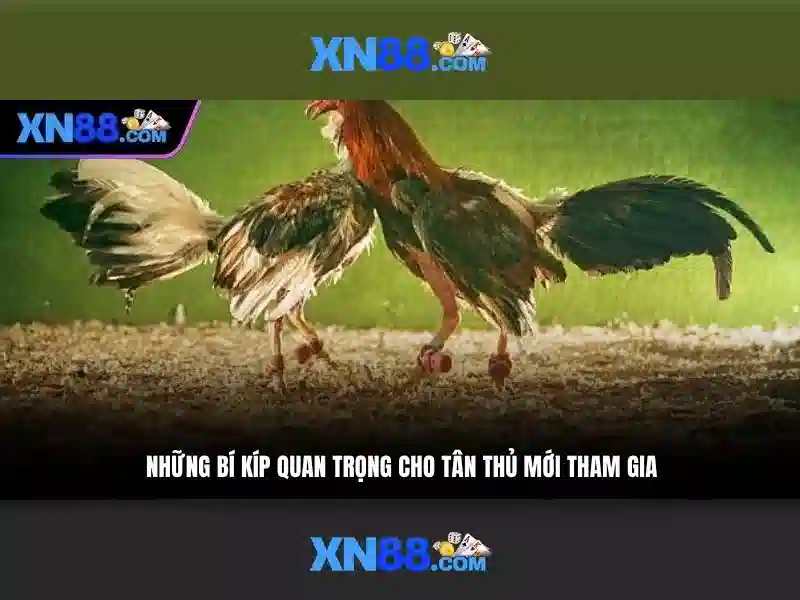 Giới thiệu về xn88