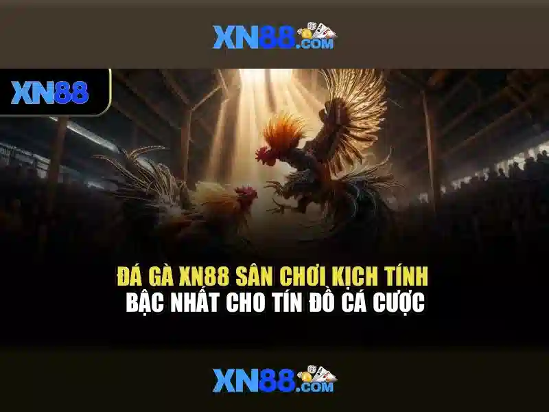 Hình thức thanh toán và an toàn