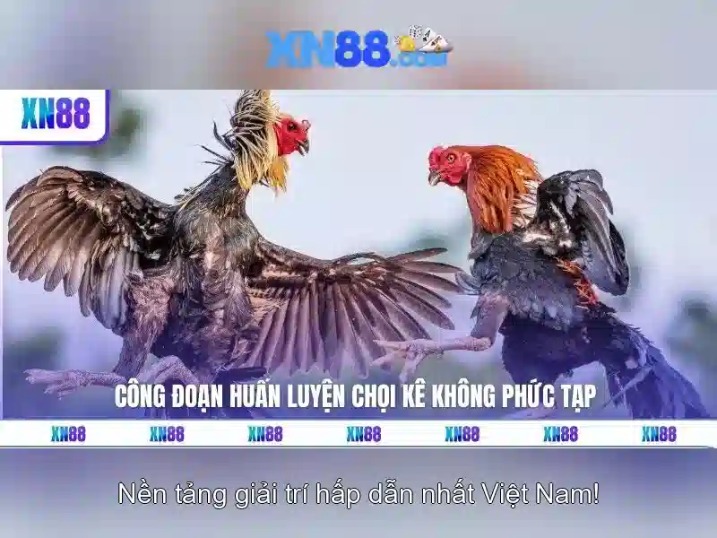 xn88: Cộng đồng và trải nghiệm chơi game trực tuyến
