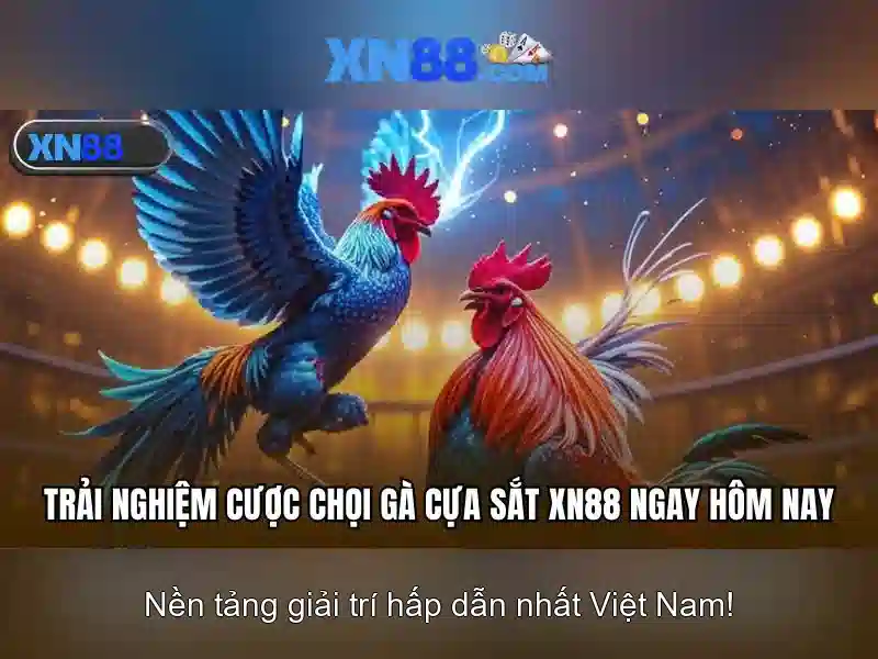 Lịch sử và nguồn gốc