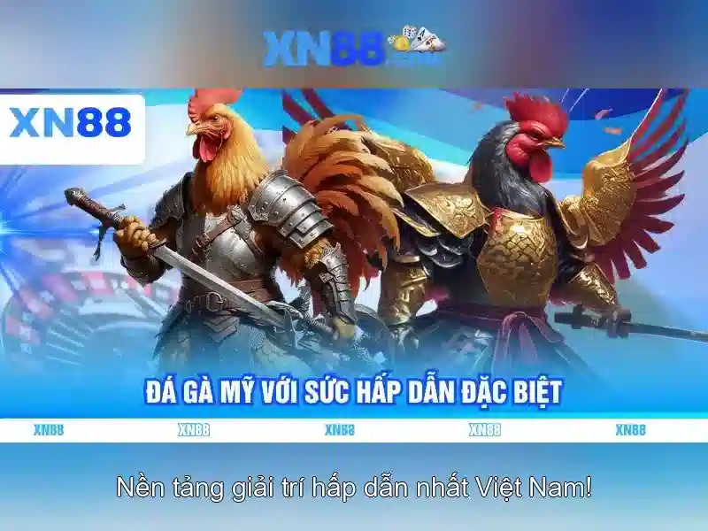 Hướng dẫn bắt đầu với xn88
