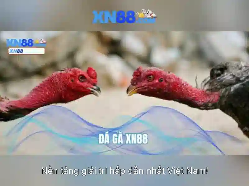 Tiện ích và thể loại trò chơi