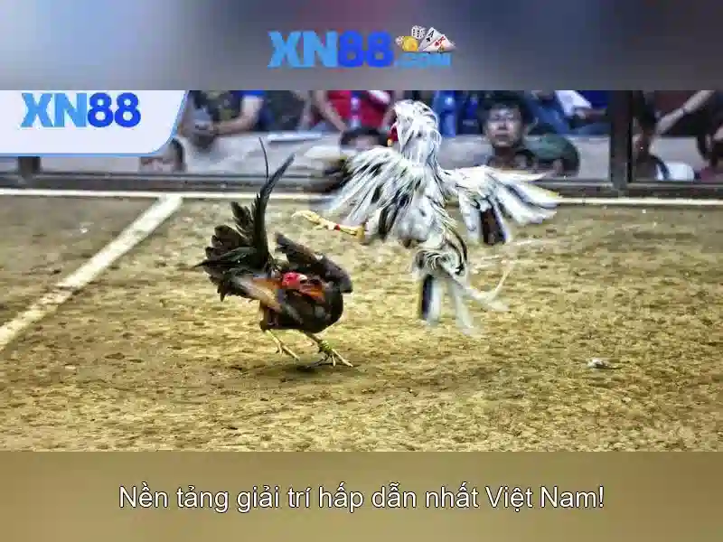 xn88: tổng quan về nền tảng và các yếu tố quan trọng