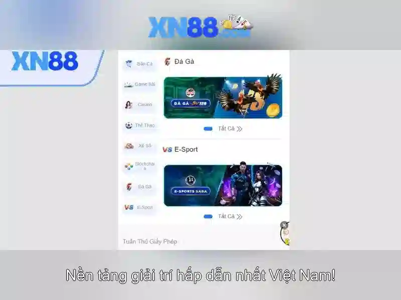 Trải nghiệm người dùng và hỗ trợ
