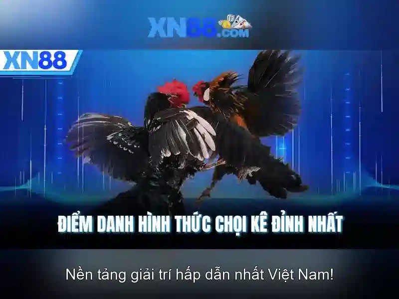 Các tính năng nổi bật