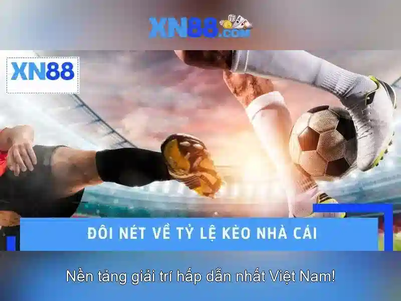 Hỗ trợ khách hàng và cộng đồng