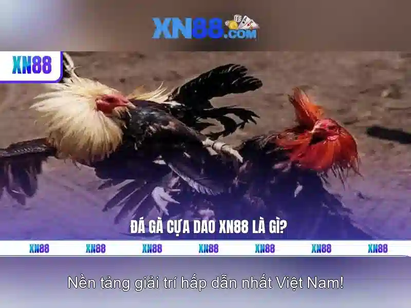 Lịch sử và sự phát triển của xn88