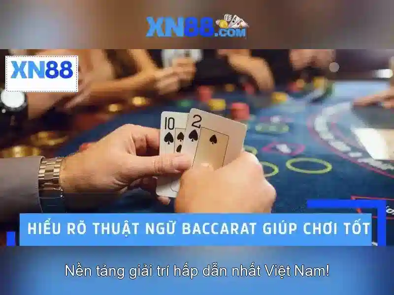 XN88: Đánh giá tổng quan và hướng dẫn sử dụng