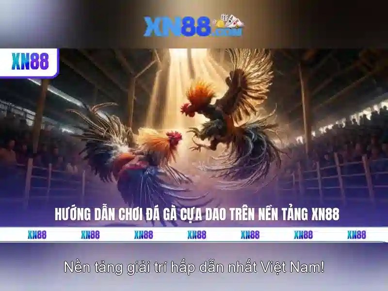 Hướng dẫn đăng ký và nạp tiền
