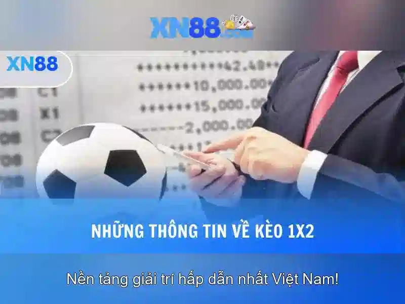Tóm tắt và lời mời trải nghiệm