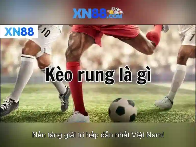  Phát triển tương lai và tầm nhìn