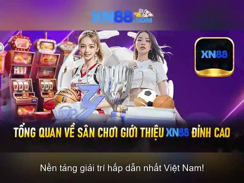 Hướng dẫn bắt đầu