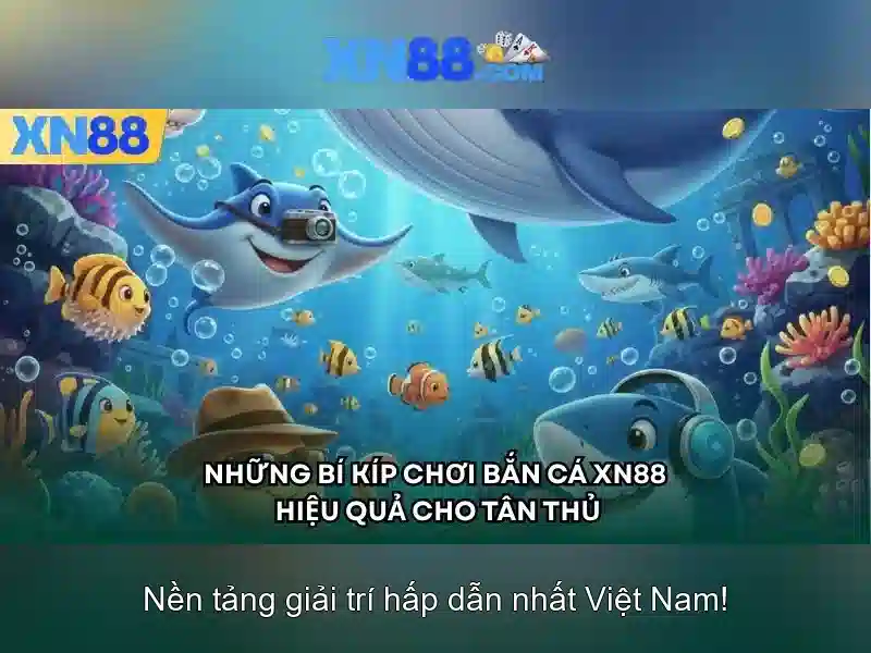 xn88 - Nền tảng cá cược và trò chơi trực tuyến