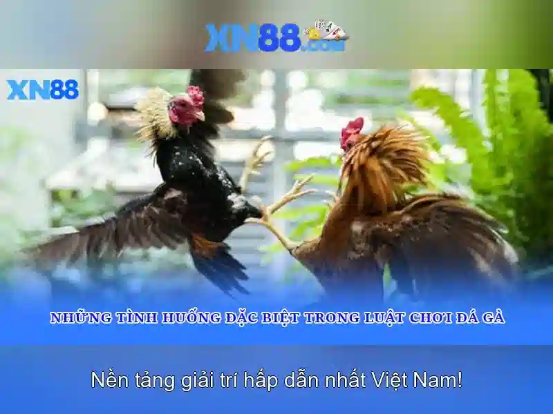 Cách tham gia và mẹo sử dụng xn88