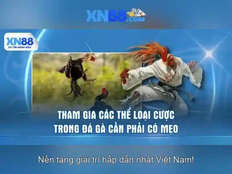 xn88: Nền tảng giải trí trực tuyến và những điều cơ bản