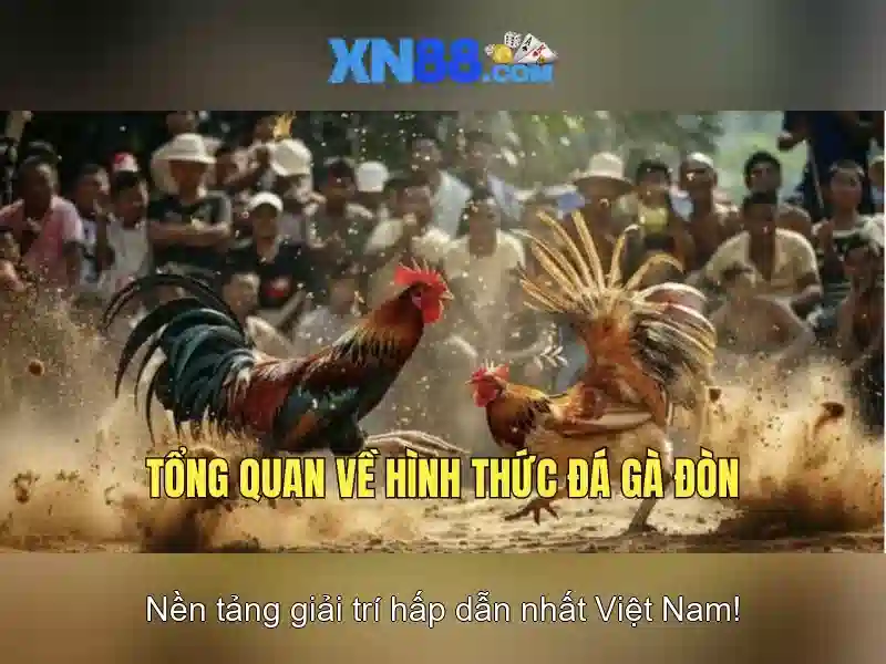 Giới thiệu về xn88 — Nền tảng giải trí trực tuyến