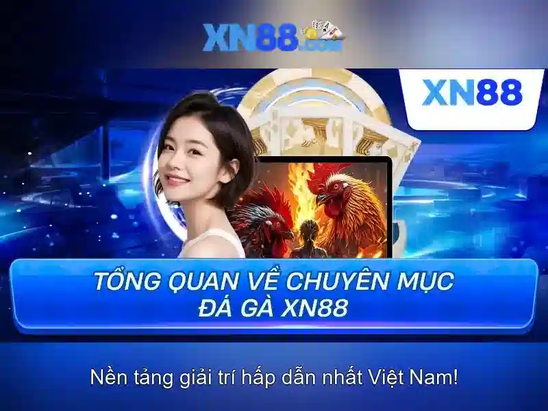 xn88 là gì và tại sao nó nổi bật
