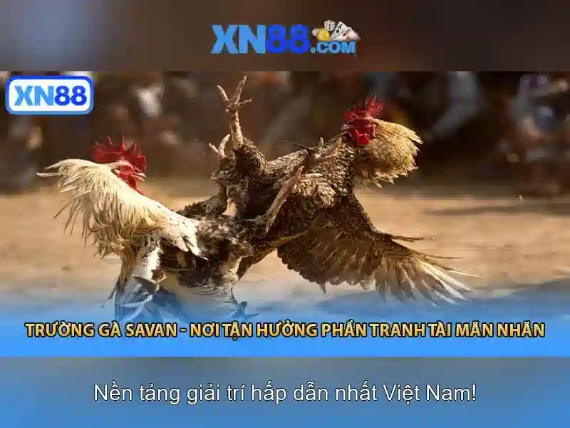 Giới thiệu xn88