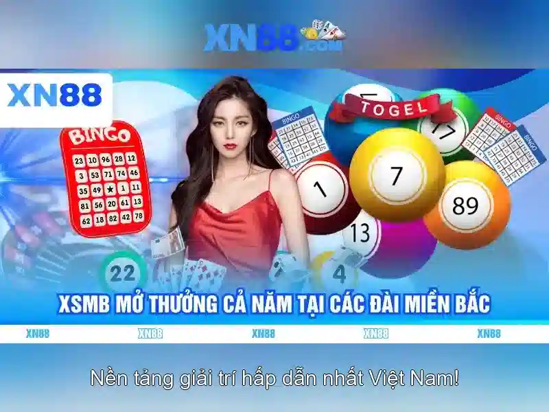 Trải nghiệm người dùng và cộng đồng