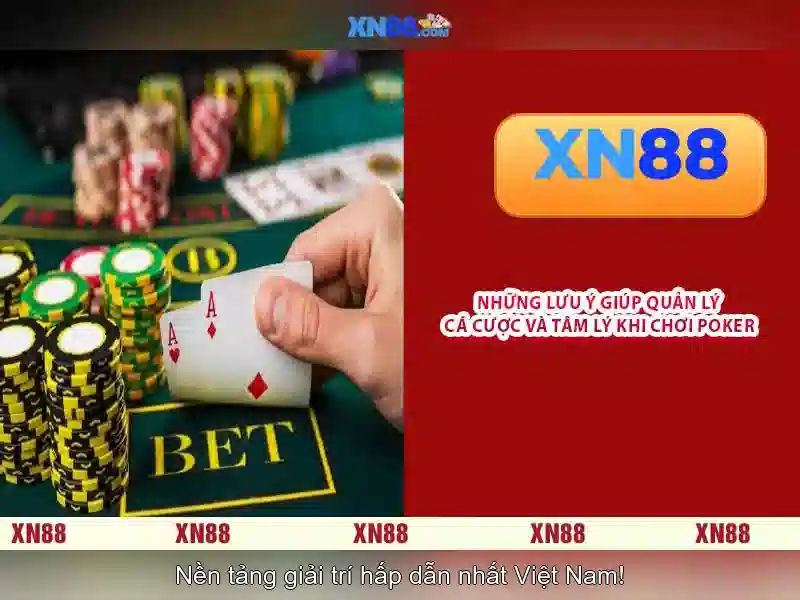 xn88 - Đánh giá và hướng dẫn sử dụng