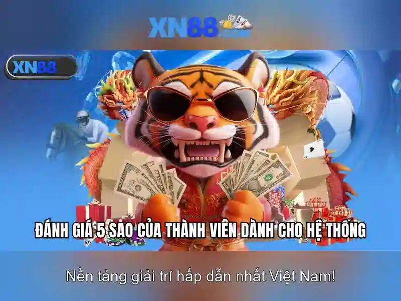 xn88 - Tổng quan về nền tảng cược trực tuyến