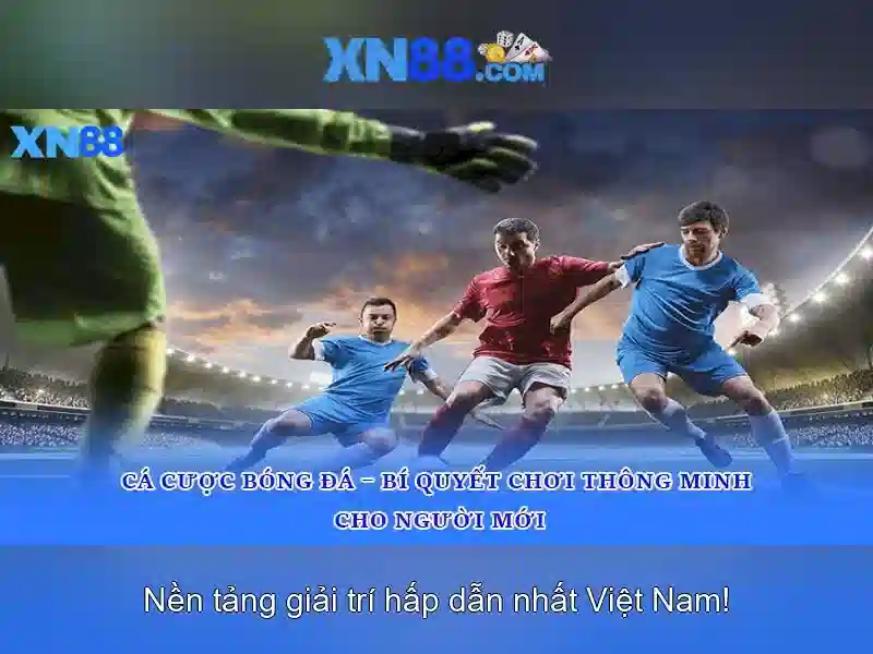 Hướng dẫn tham gia và thanh toán