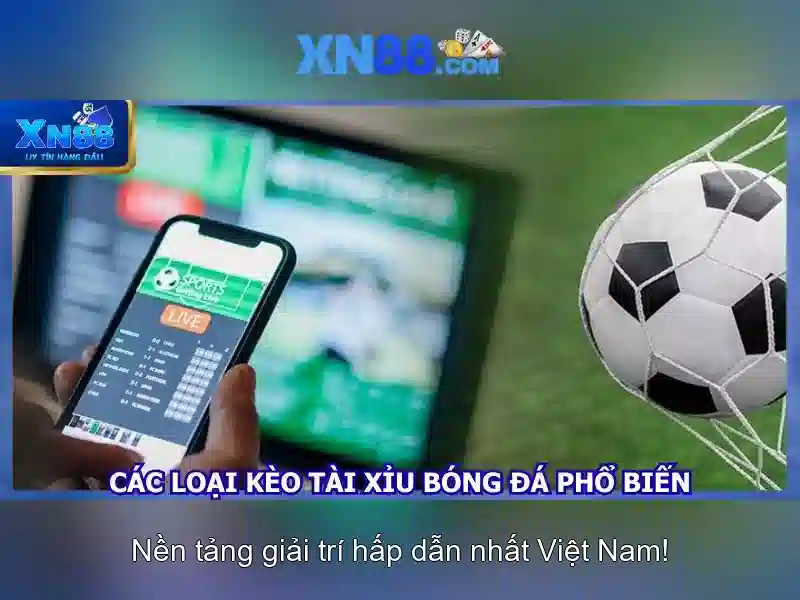 XN88: Tổng quan về nền tảng cược trực tuyến