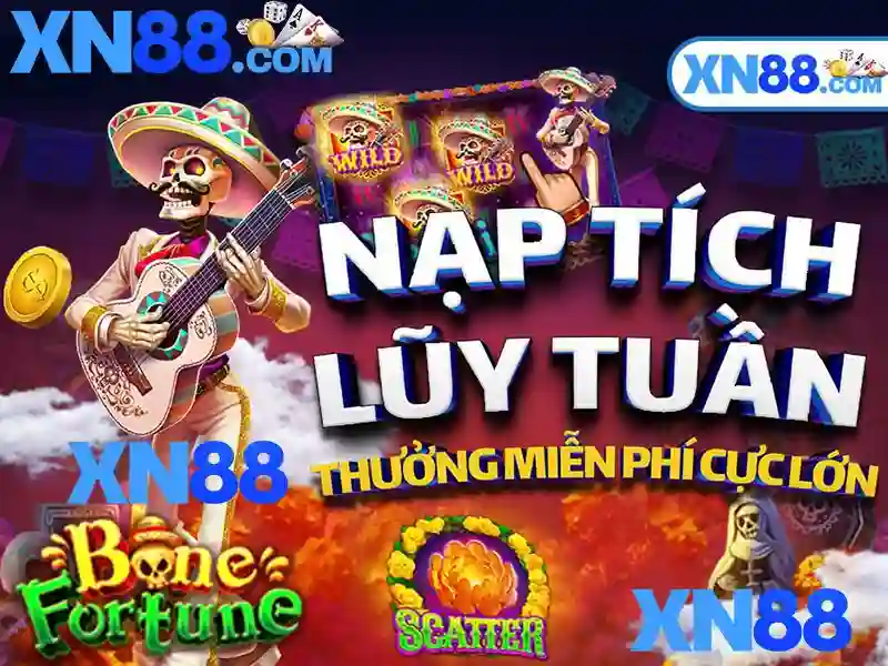 Giới thiệu về xn88